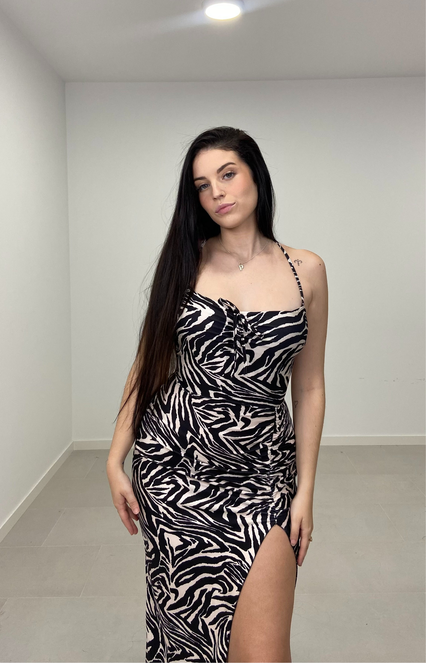 ZEBRA DRESS